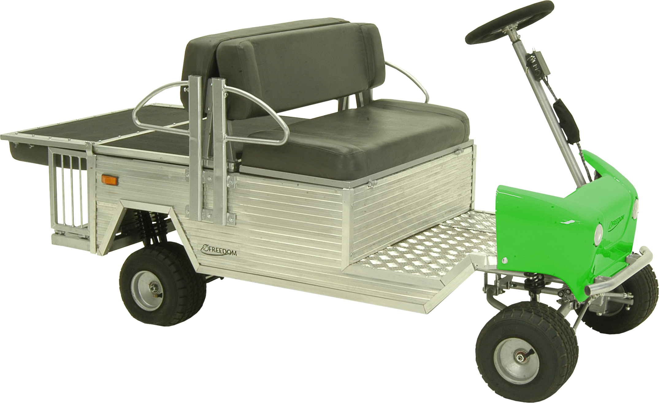 Carro Elétrico Freedom Compact XT